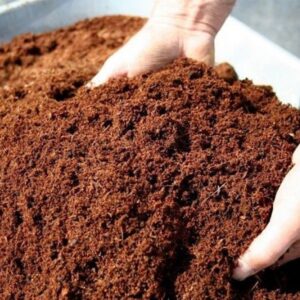 cocopeat 5kg