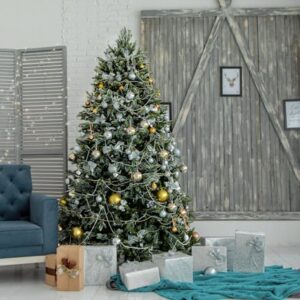 Christmas Festival [Donation]