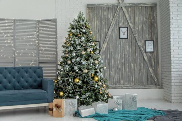 Christmas Festival [Donation]