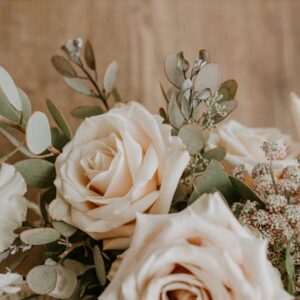 Greet Plant On Occasion [Donation]